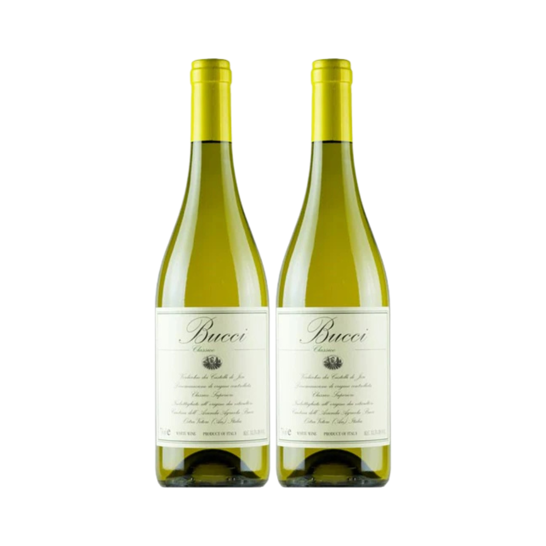 Verdicchio dei Castelli di Jesi Classico Superiore Bucci 2019 (2 BOTTIGLIE)