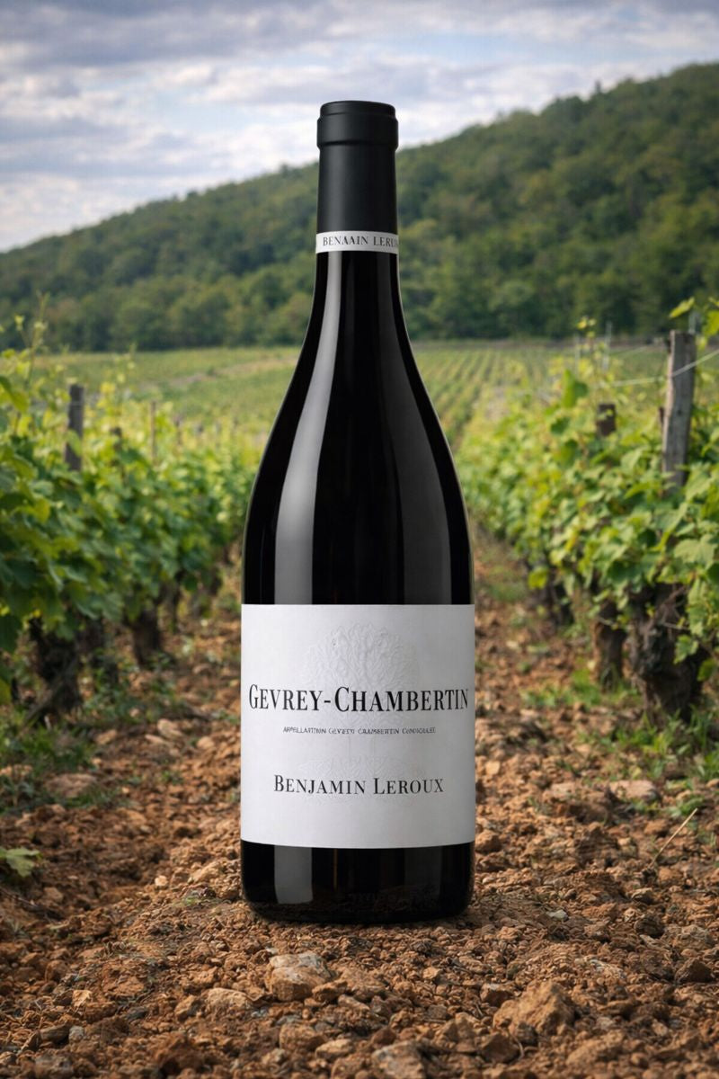 Gevrey-Chambertin 2019  Benjamin Leroux  Gift Box