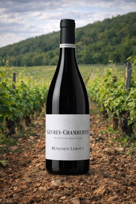 Gevrey-Chambertin 2019  Benjamin Leroux  Gift Box
