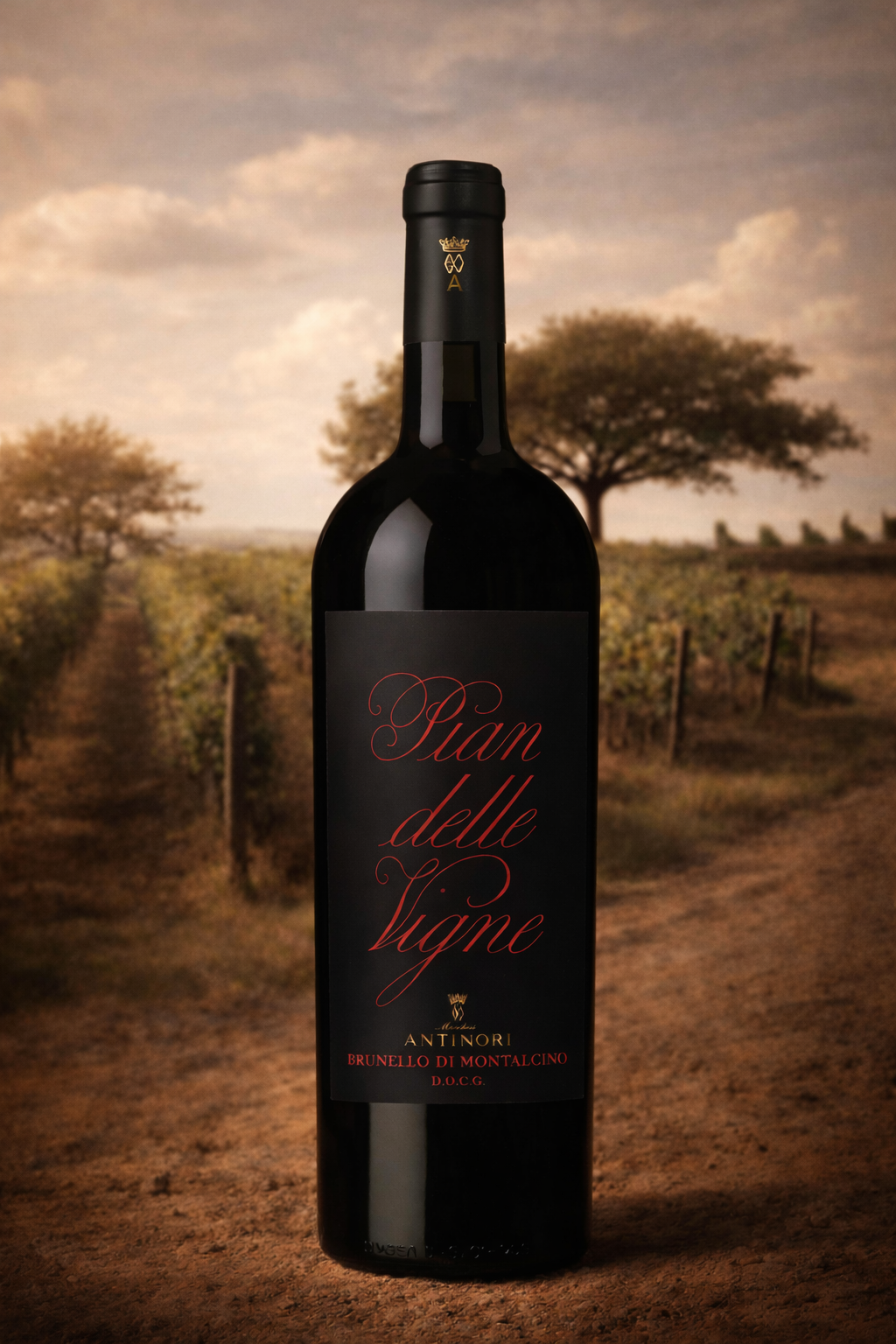 Brunello di Montalcino 2016 Pian delle Vigne Magnum - Antinori