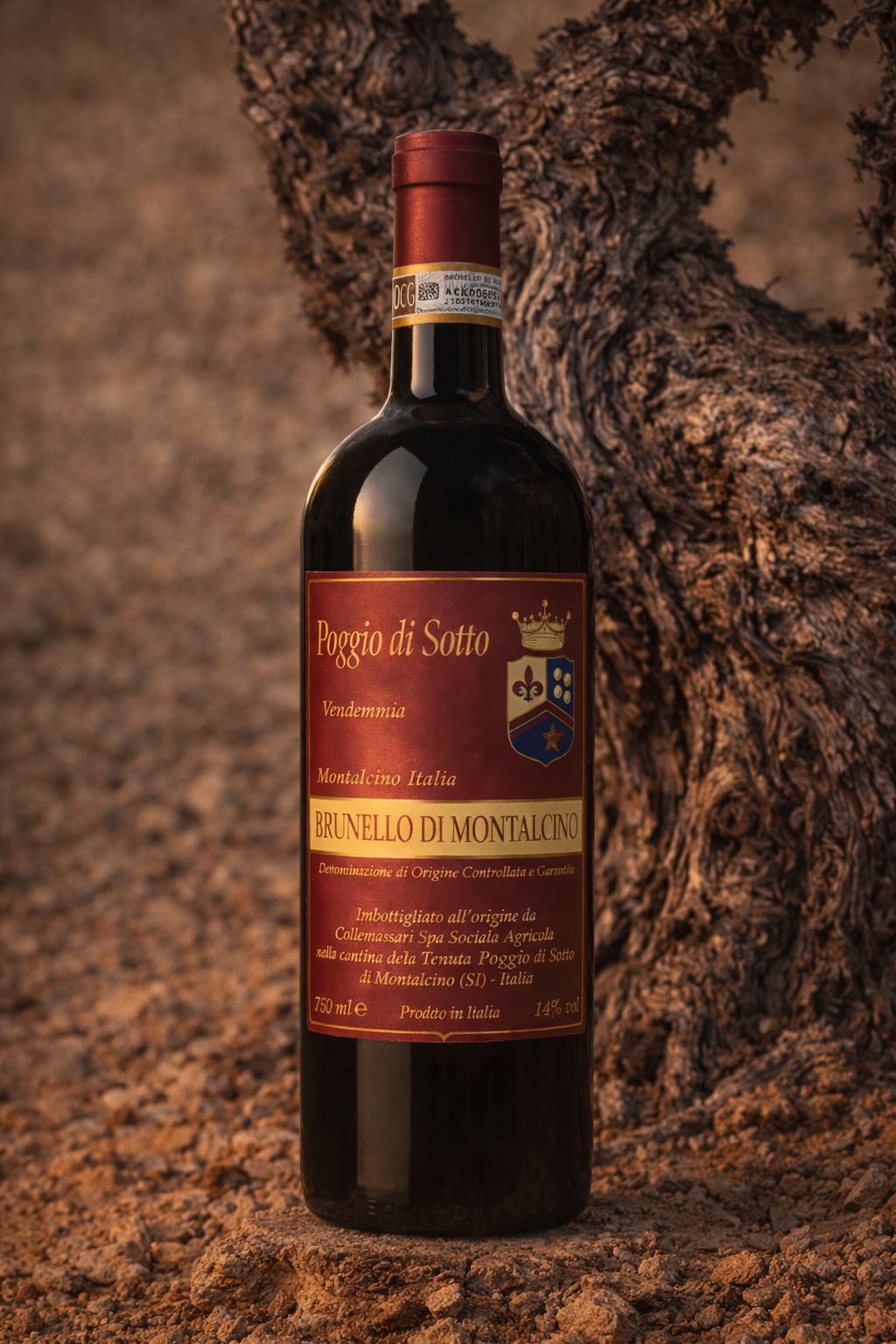 Brunello di Montalcino 2016 - Poggio di Sotto Gift Box